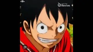 Monkey D. Luffy's 