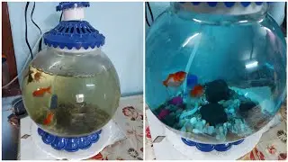 How to clean your fishbowl properly🐟🐟