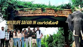 Wildlife safari in ನಾಗರಹೊಳೆ 🐅| Elephants🐘 #nature #friends #safari #subscribe #karnataka
