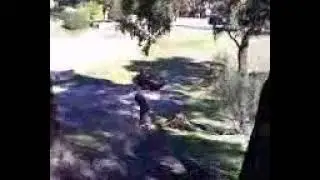 DirtBoard Hillbomb