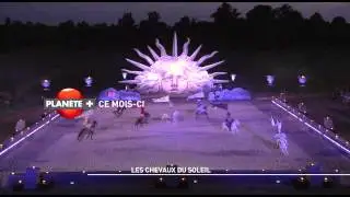 Les chevaux sur soleil sur PLAN&Egrave;TEPLUS CANADA