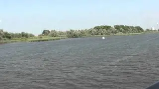 Drimmelen   De  Biesbosch