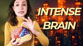 The Intense World Theory: How the Neurodivergent Brain Processes Information