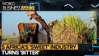Trump Tariffs: Trump&rsquo;s 30% Tariff Threatens South Africa&rsquo;s Sugar Exports | WION Business Watch
