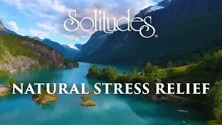 Dan Gibson&rsquo;s Solitudes - Inner Sea | Natural Stress Relief