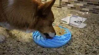 2-in-1 Lick Mat Slow Feeder for Dogs & Cats
