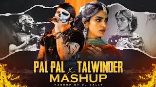 Pal Pal x Talwiinder - Afusic x Haseen | Trending Talwiinder Mashup | DJ Dally