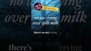 no use crying over spilt milk - Daily English Idioms
