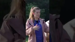 Questions to Ask When Purchasing a Horse