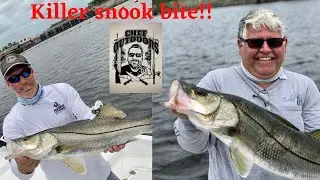STELLAR SNOOK!! [CATCH CLEAN AND COOK] CAJUN TEMPORA SNOOK