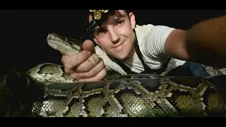 Python Hunting in the Florida Everglades - Episode 1
