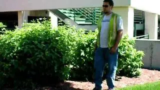 The Lawn Ranger, how to install mulch in beds