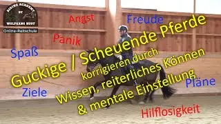 F95 Guckige , nerv&ouml;se Pferde korrigieren & beruhigen lernen. Reitertipps Mentaltipps Reitunterricht