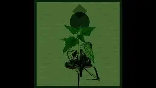 Ben R Brown - Protection (Tracky Version) [Teorema]