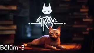 BİR ÇIKIŞ YOLU VARSA BİLİYORLARDIR | STRAY - BÖLÜM 3