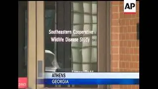 Just a few days after 3,000 blackbirds fell from the sky in Arkansas, about 500 birds dropped to the