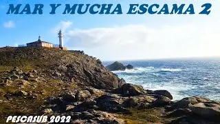 Pescasub 2022 - Mar y Mucha Escama 2