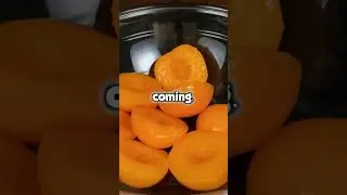 EVERY WEEKEND, MY FAMILY TREATED MY HOUSE LIKE THEIRS. WE WERE JUST IN THE AREA, THEY SAID #reddit