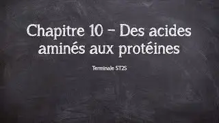 Ch10 - Des acides aminés aux protéines - TST2S
