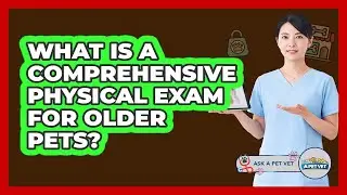 What Is a Comprehensive Physical Exam for Older Pets?