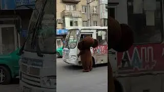 Creative event agency D.V.Event congratulated the #Donetsk #KirillSirius bus driver