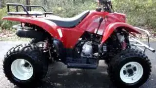 2005 BAJA MOTORSPORTS 250 WILDERNESS ATV - 4 SALE ON EBAY 5/2009
