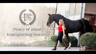 Equine Eye horse trailer camera