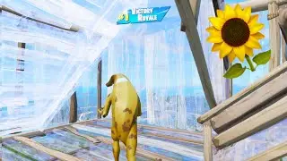 Sunflower 🌻 (ft. Chapter 3)