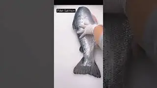 Tutorial Fillet/Cutting Salmon part 1 #fillet #salmon #fillet_fish