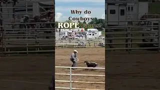 Why Do Cowboys Rope Calves? #TaylorDouglas #shorts