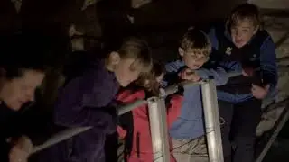 Real Journeys Te Anau Glow Worm | Experience Oz