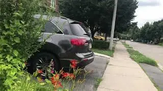 A walk through Susan Avenue (Very Hot Day) | Diamond Toronto | Brampton Walks