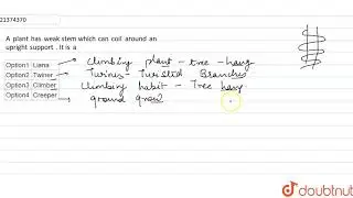 A plant has weak stem which can coil around an upright support . It is a  | 12 | DIVERSITY IN AN...