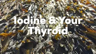 Iodine Tablets & Your Thyroid