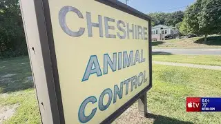 Cheshire Animal Control officer resigns after investigation
