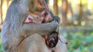 MOMMY HOLDING NEW BABY UP SIDE DOWN____ MOMMY CHECKING___ NEWBORN VERY CUTE AND LOVELY.