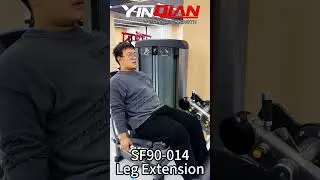 Leg Extension