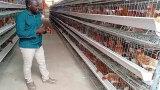 After Installation of  H-type Cages ( part 2) 