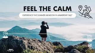 FEEL THE CALM: EXPERIENCE THE SUMMER MEADOW IN IMMERSIVE 360&deg; | UnoMiru India