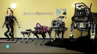 8 ADVANCED ANIMAL ROBOT IN Feature 2030 // 1 to 8 feature robots