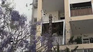 אין לאן לברוח: התושבים באשקלון שמתמגנים בשקי חול