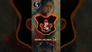 madu mala lesa🌺  SOFI MUSIC LK  🎶🎧#sinhalaremix #bas #remix #official #love #music #dj #song #sad 🥰