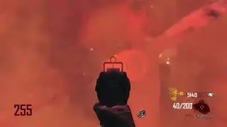 Bo2 round 255 zombies are crazy!