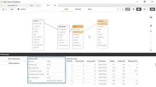 Learn Qlik&reg; Sense - Data Model Viewer