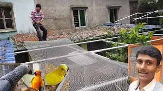 Birds Outdoor Aviary Setup / Bird Farm Aviary Colony New Setup Tips / Bird Parrot Breeding Farm.