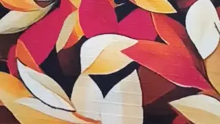 Mid summer stuff doriya 2pc(mix brand) 