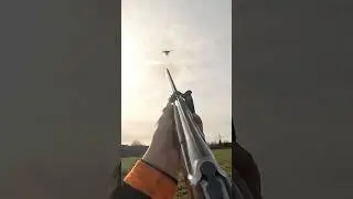 Tir d&rsquo;un faisan au calibre 20!⚜️ #chasse #hunting #chasseur #faisan #calibre20 #fusils