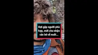Đợi gặp người ph&ugrave; hợp, mới cho nhận c&aacute;c b&eacute; về