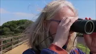 Birdwatching in Ria Formosa, Portugal: Ludo Trails