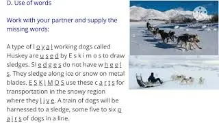 The blind dog, grade - 7, exercise question/answers